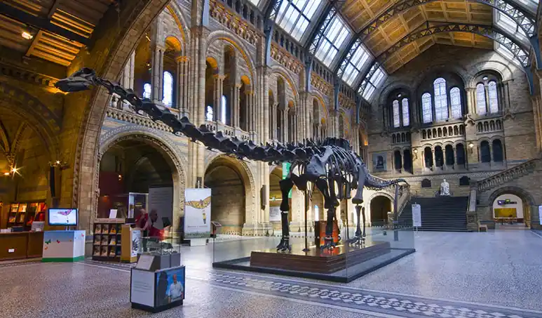 Dinosaurs, engines, and design along Exhibition Road