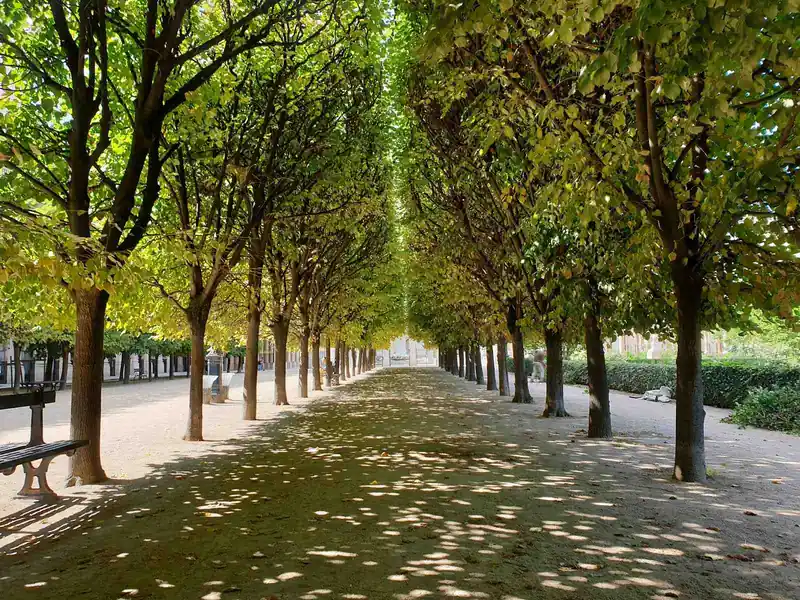 Palais-Royal Garden