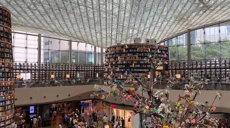 COEX Starfield Library