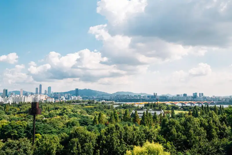 From urban forest to Seongsu's reborn factory district